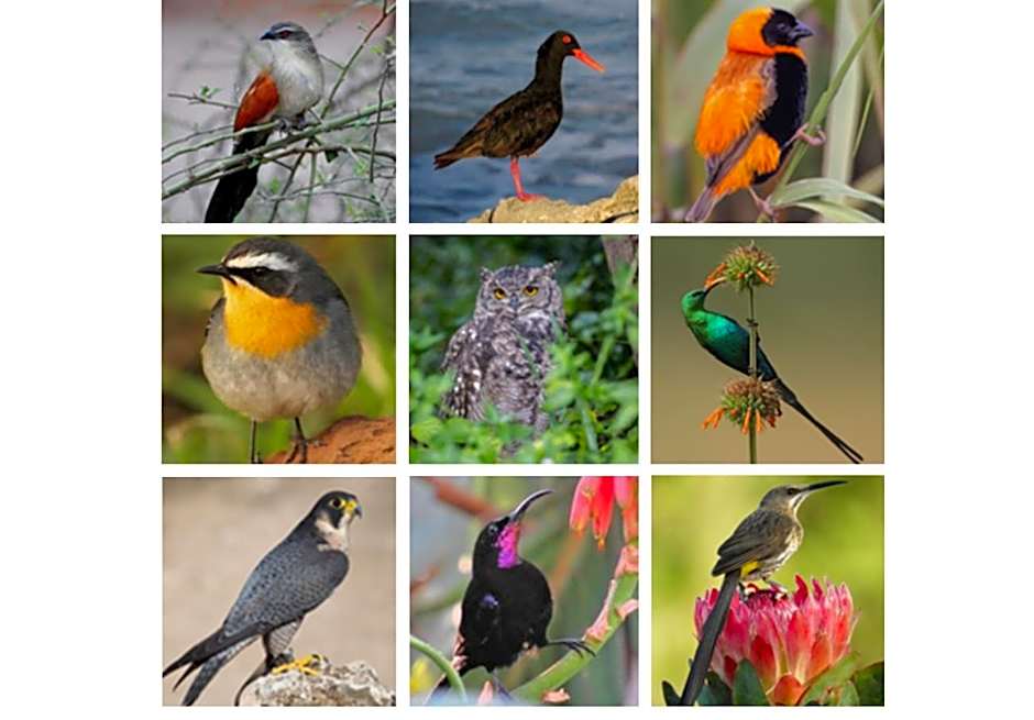 Erika27 Top B&B Choice