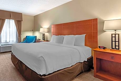 1 King Bed, Nonsmoking