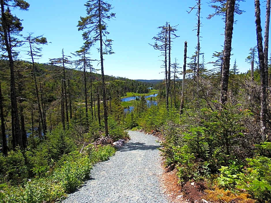 The Wilds at Salmonier River