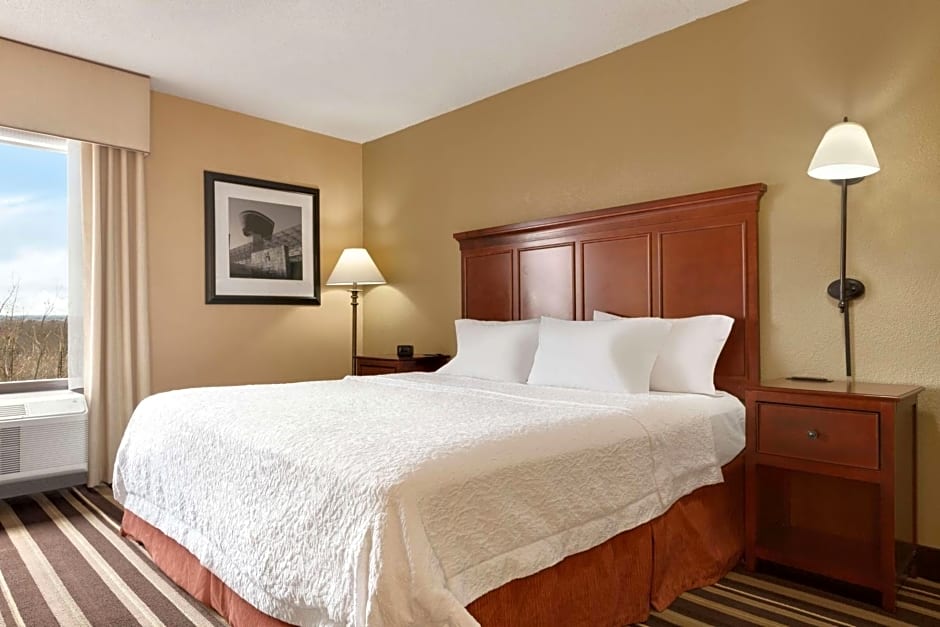 Hampton Inn By Hilton Washington-Dulles International Airport South