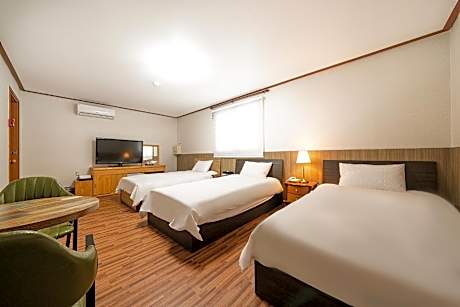 Triple Room with Mountain View