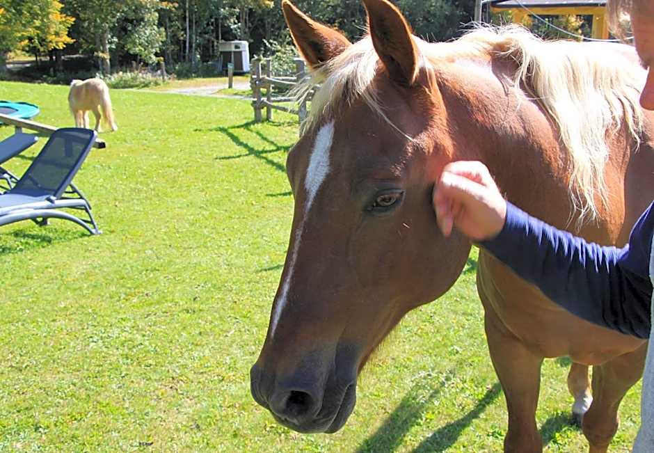 Grubhof Appartements