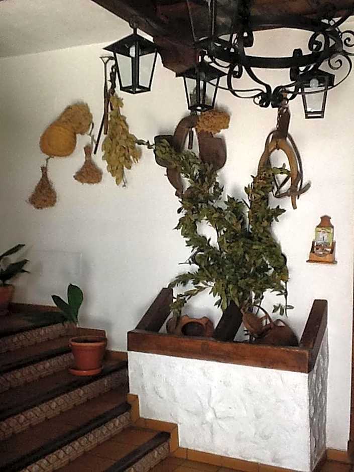 Hotel Posada San Antonio