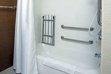 Studio with King Bed and Sofa Bed