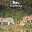 Elandela Private Game Reserve and Luxury Lodges Pty Ltd