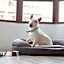 Casual Colours Barcelona by Casual Hoteles