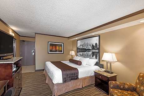 1 King Bed Non-Smoking