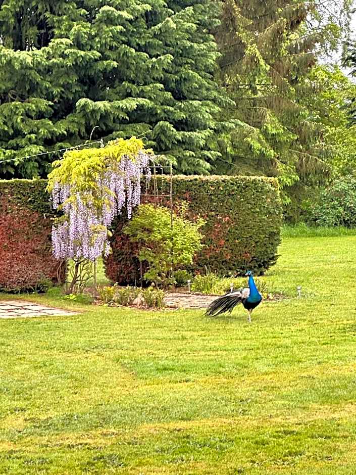 Broom Hall Country Hotel