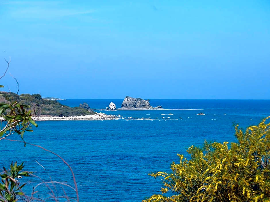 Aphrodite Beach Hotel