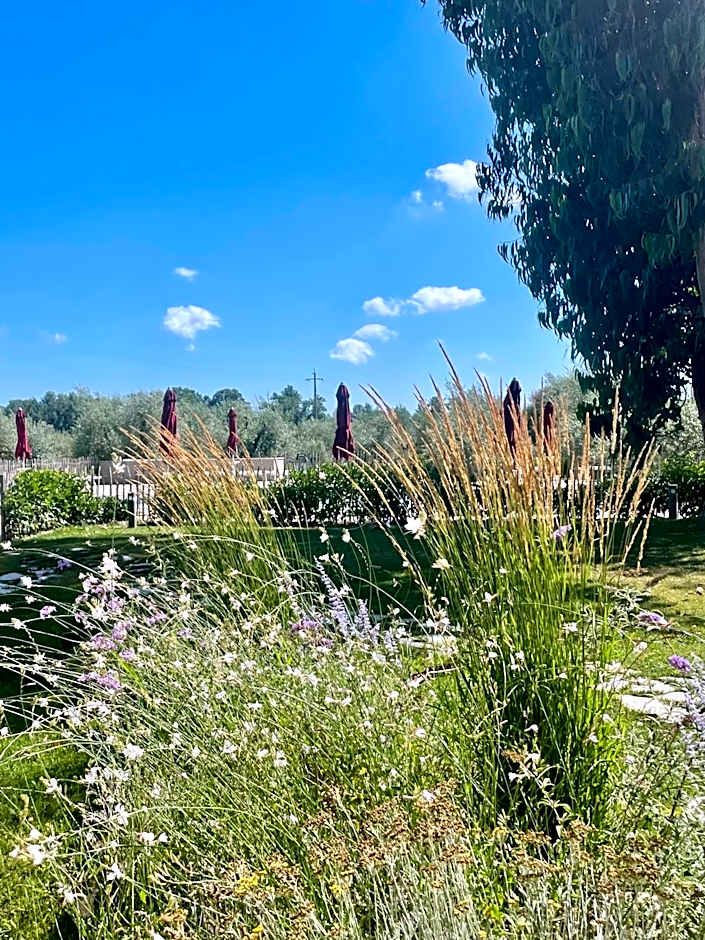 TerraVita Winery & Boutique Apartments