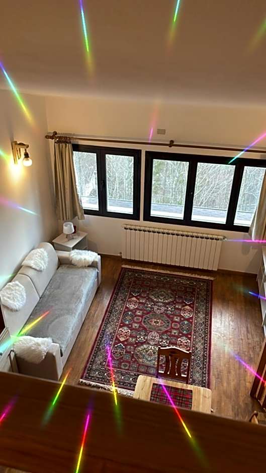 Residenza Riva Wellness Apartment Spa