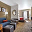 Comfort Suites Spring