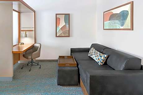 Studio, 1 King Bed with Sofa bed (1 King Bed and 1 Double Sofa Bed)