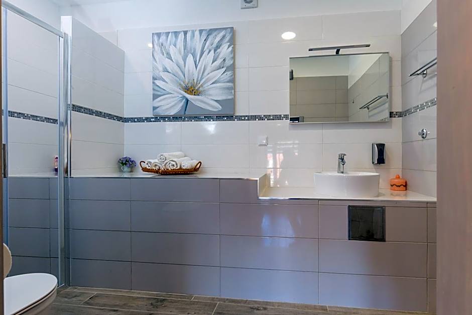 Big Terrace Apartment