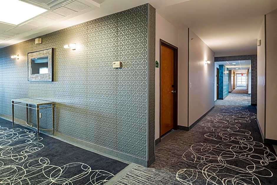 Wingate by Wyndham Chihuahua