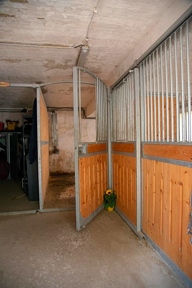 Ranchzimmer am Hippo-Campus Reit- und Therapiezentrum