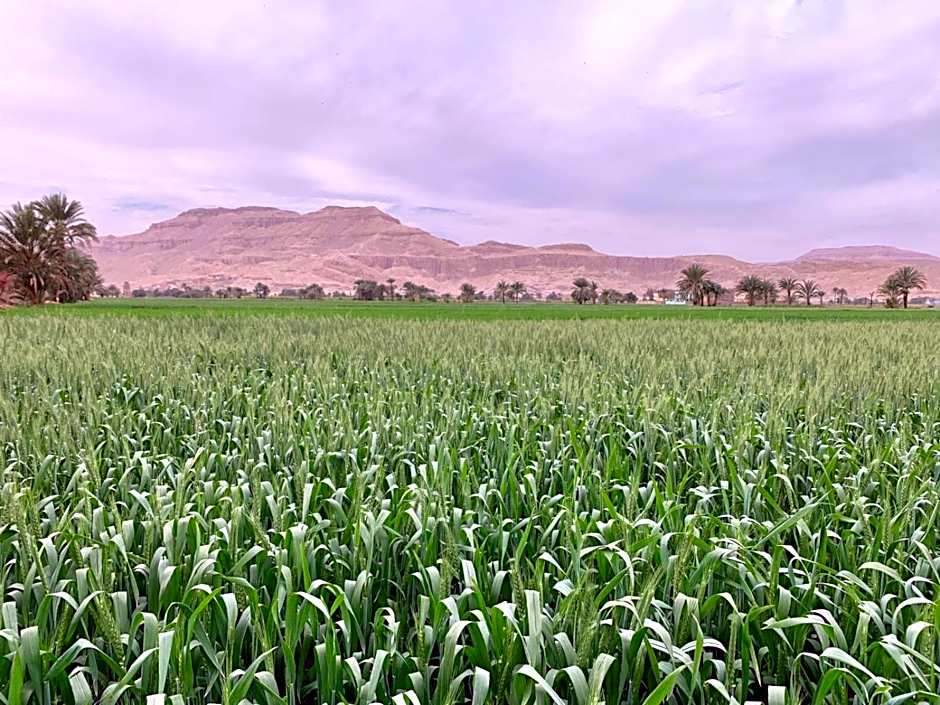 New Memnon Hotel