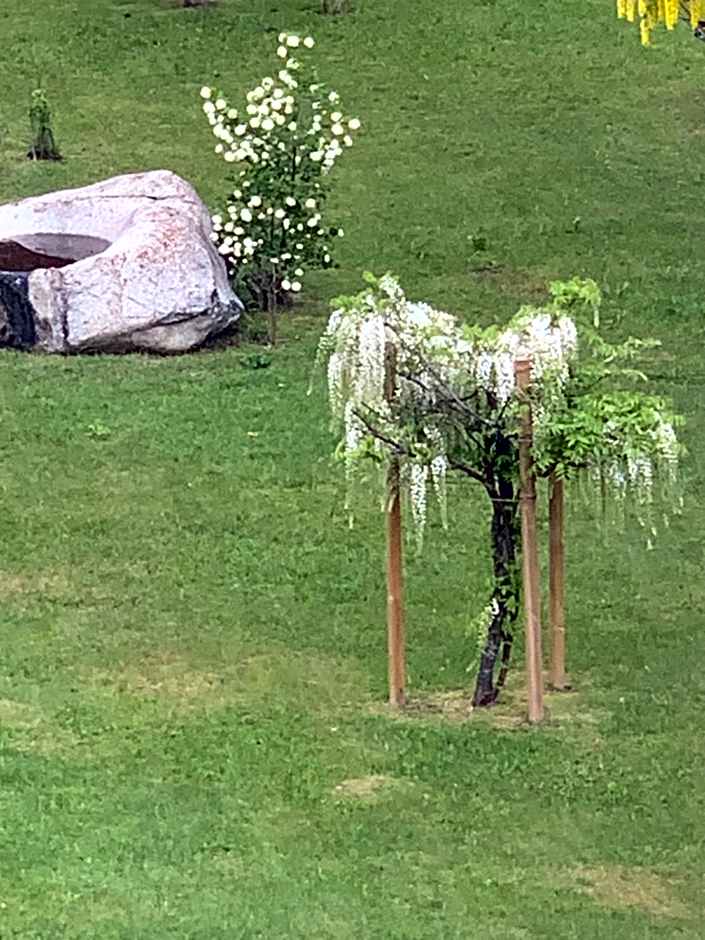 Apartment Hotel Elvis