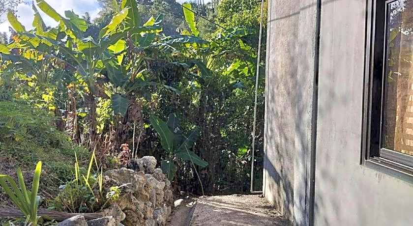 AJjaa's Place