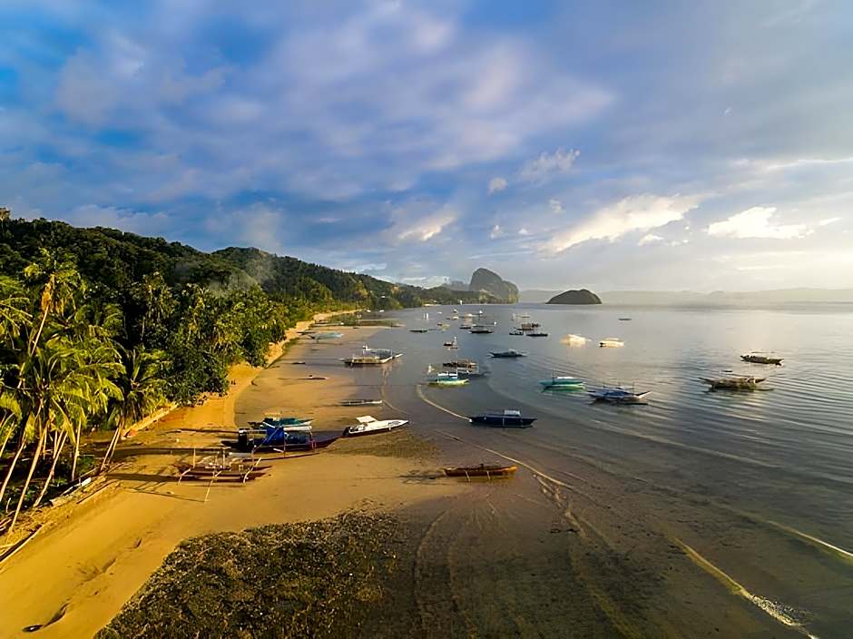 Alocasia Inn El Nido