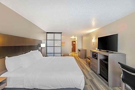 1 King Bed, Suite, Nonsmoking, Accessible, Upgrade