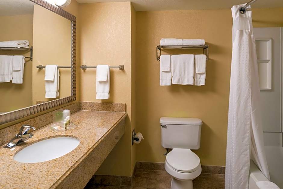 Holiday Inn & Suites Orlando SW - Celebration Area By IHG