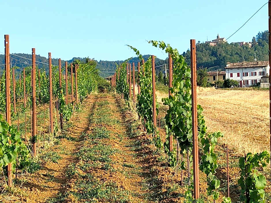 la Mafalda in Oltrepo