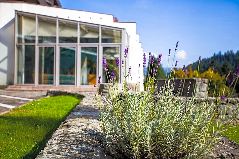 Hotel***NAT Piwniczna Zdrój