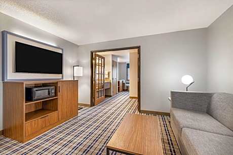 One-Bedroom King Suite - Non-Smoking