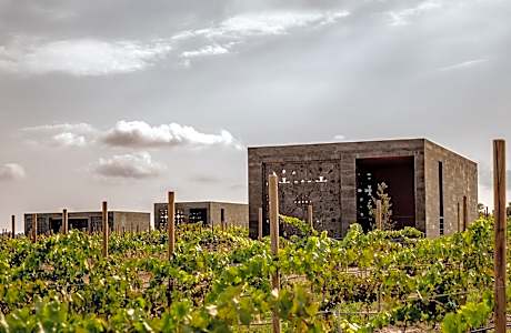Casa Raices Hotel Luxury & Vinedo