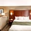 Comfort Suites Tuscaloosa near University