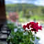 Hotel Nosal Ski & Wine