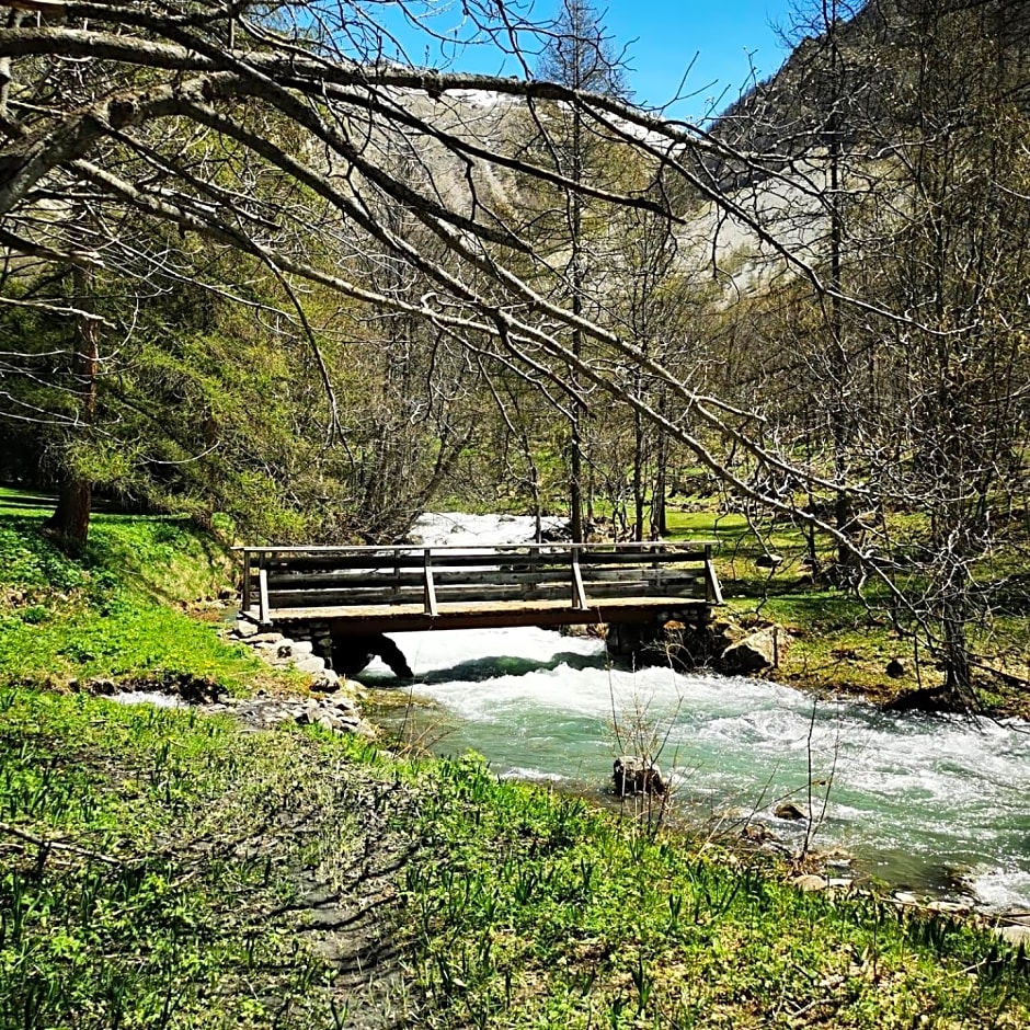 Les marmottes d Estenc