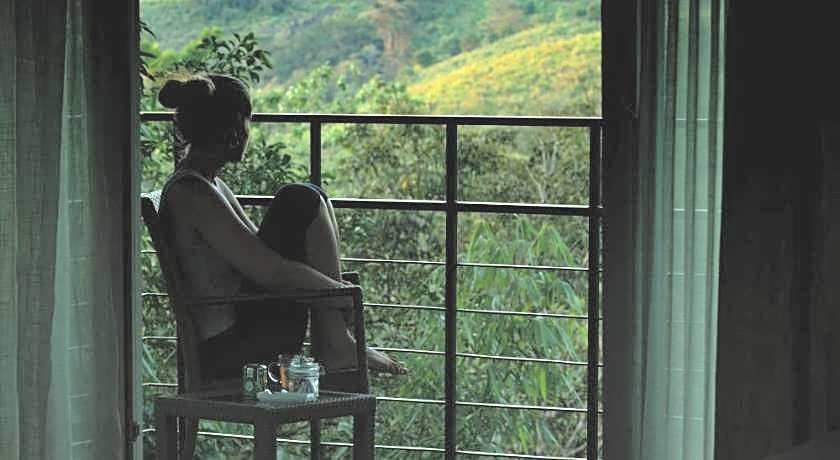 Wayanad Wild  Rainforest Lodge by CGH Earth