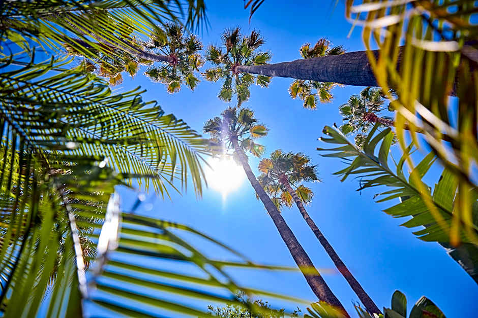 Apartamentos Sol de Alcudia