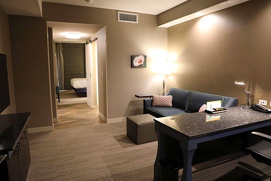 Hilton Garden Inn Austin Airport