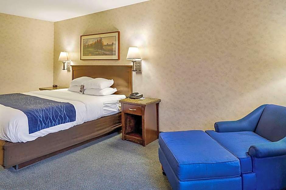 Comfort Inn Bellingham