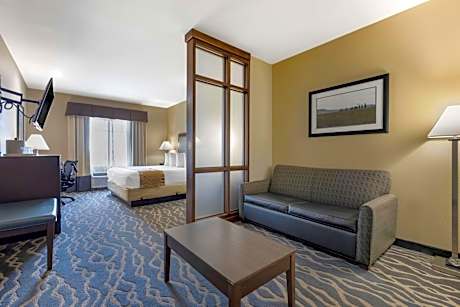 Suite-1 King Bed Non-Smoking Sofabed Desk Microwave Fridge Wi-Fi Full Breakfast