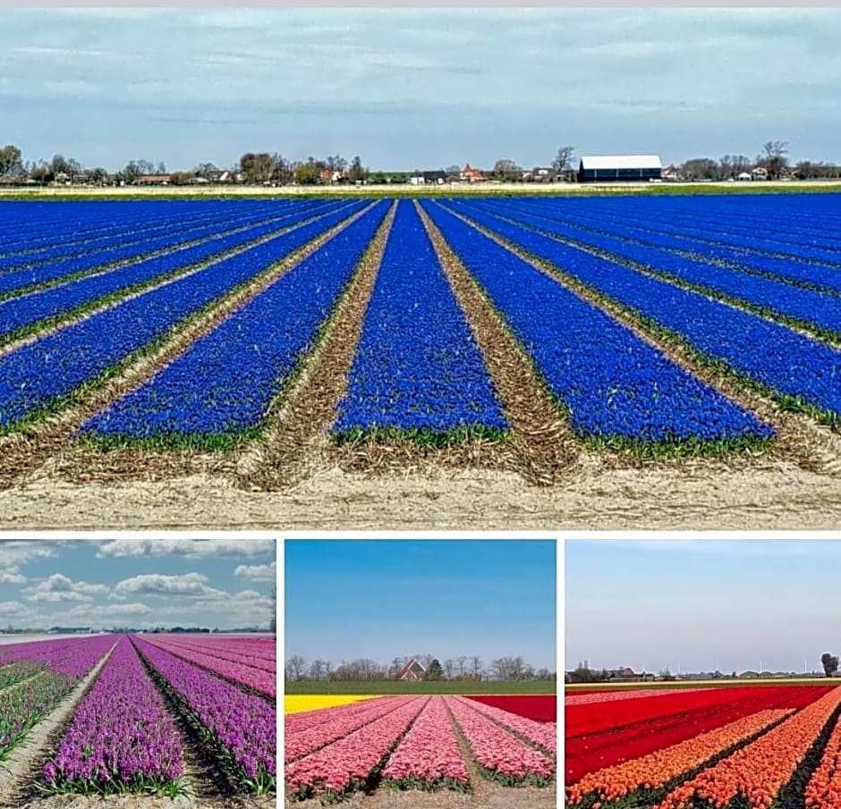 LUXE Bloemenzicht 4 personen, BnB, 10 minuten van zee