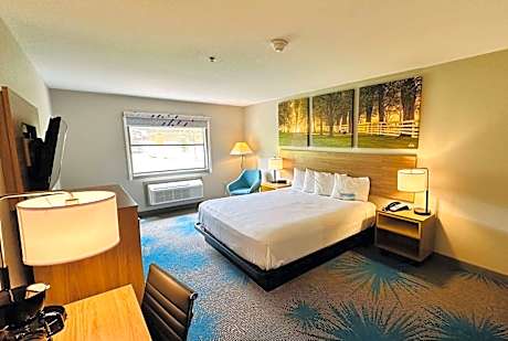 1 King Bed Mobility Accessible Room Non-Smoking