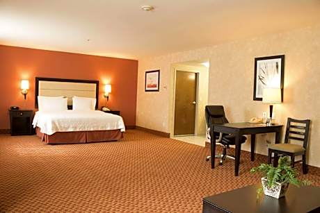 King Studio Suite with Sofa Bed - Non-Smoking