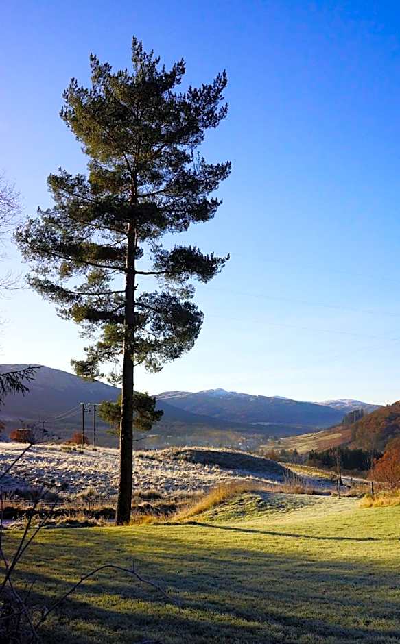 Cosy & compact Rowan Lodge no2