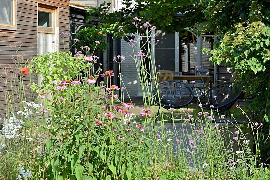 Beeltjens B&B: Wolf&Belle