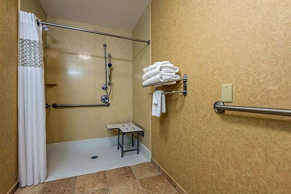 Hampton Inn By Hilton & Suites Orlando-South Lake Buena Vista