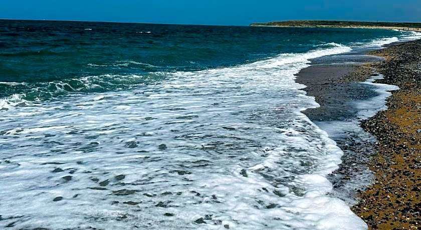 Airport Black Sea Hotel & Restaurant