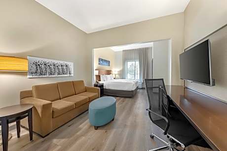 1 King Bed Suite Nonsmoking Upgrade