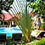Long Beach Inn
