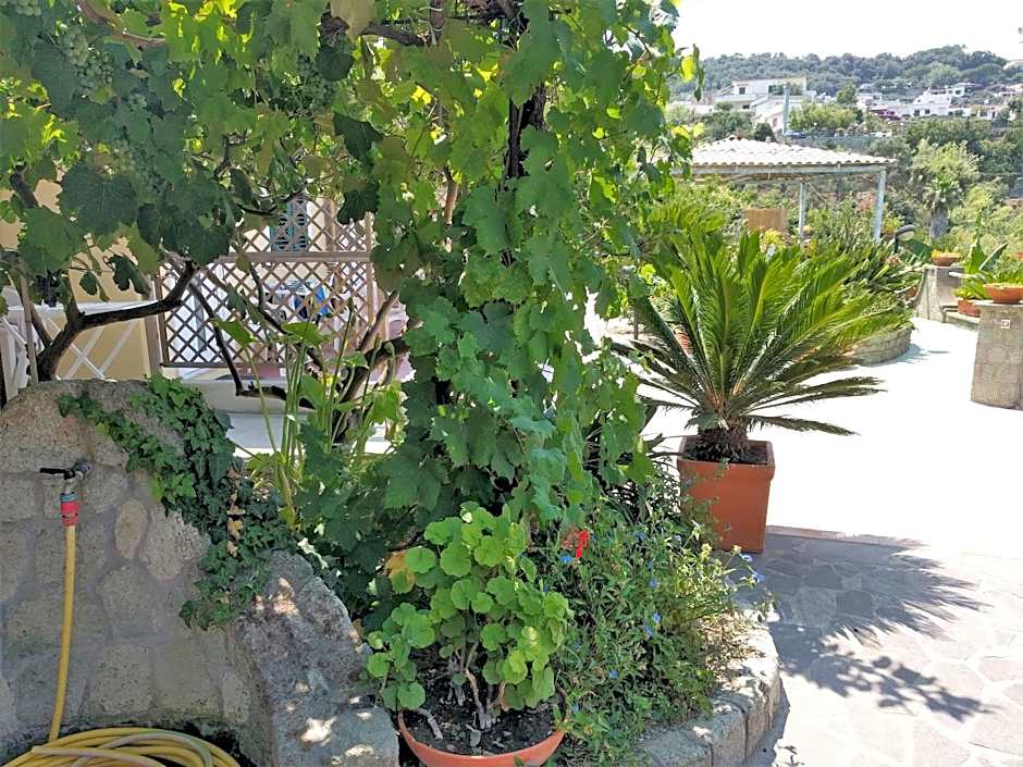 Residence Giardino del Sole