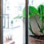 The Shin-Okubo International Hotel