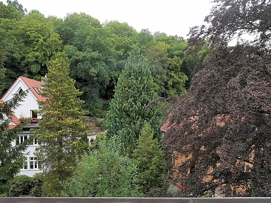 Hotel - Restaurant Sophienaue